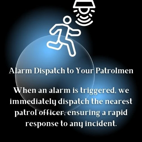 Alarm Response